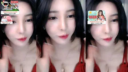 AfreecaTV主播阿丽莎BJ아리샤2020年1月8日直播视频舞蹈剪辑19124033